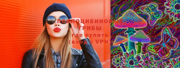 гашик Абаза