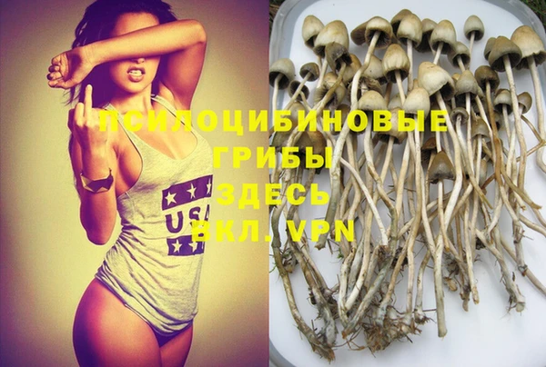 PSILOCYBIN Абинск
